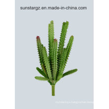 PE Cactus Artificial Plant for Home Decoration with SGS Certificate (50239)